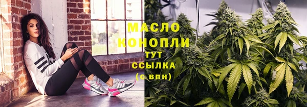 прущий лед Богданович